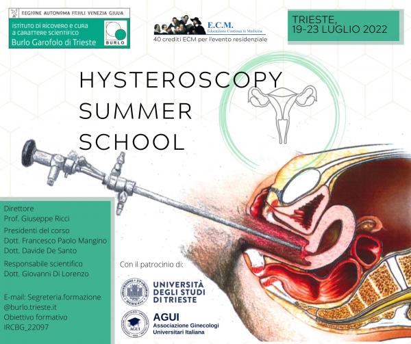 immagine locandina Summer School in Isteroscopia