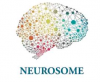 Neurosome_logo